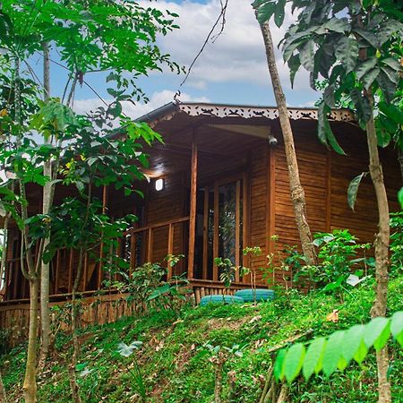 Vila Eco-Por Rio do Ouro Exteriér fotografie