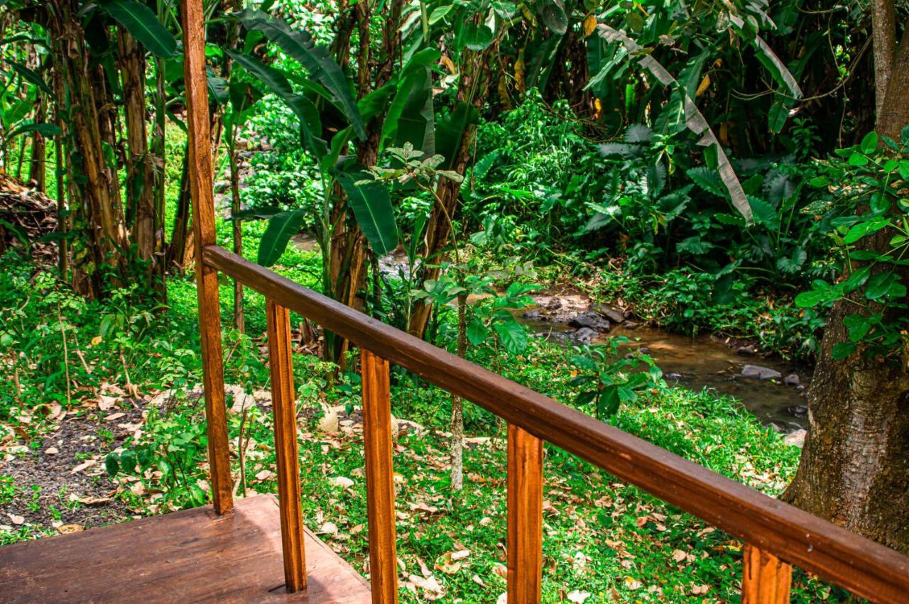 Vila Eco-Por Rio do Ouro Exteriér fotografie