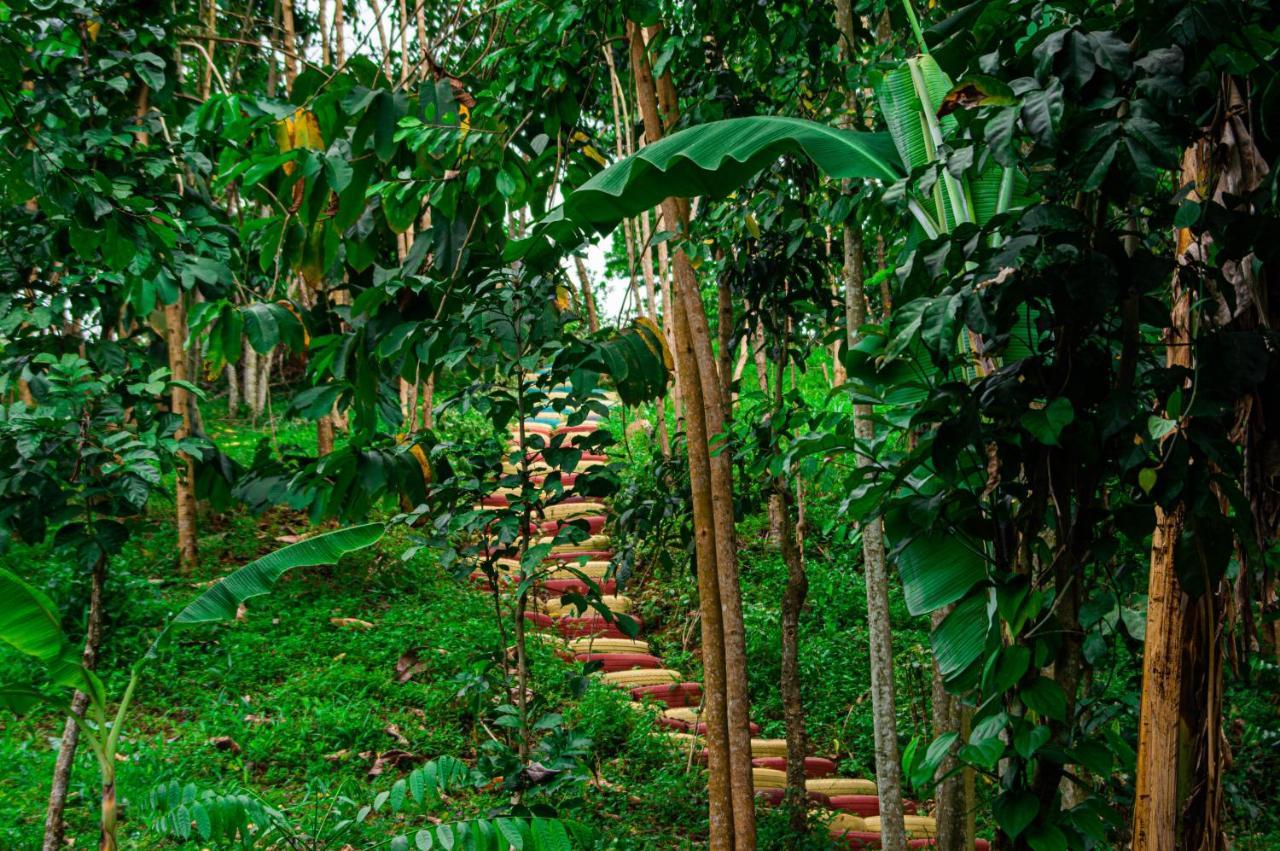 Vila Eco-Por Rio do Ouro Exteriér fotografie