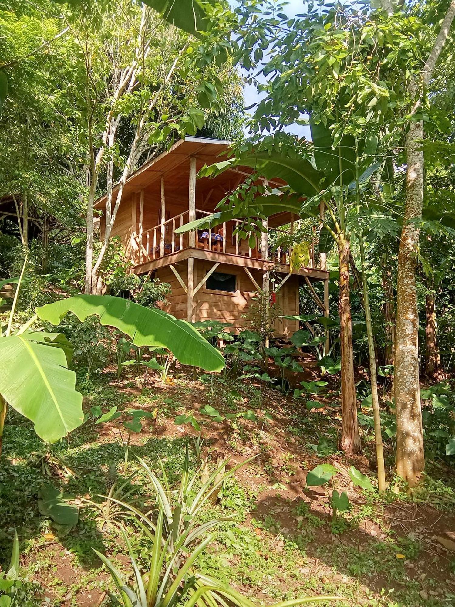 Vila Eco-Por Rio do Ouro Exteriér fotografie
